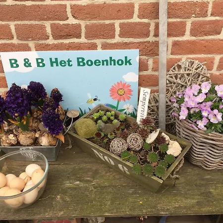 Bed & Breakfast Het Boenhok *