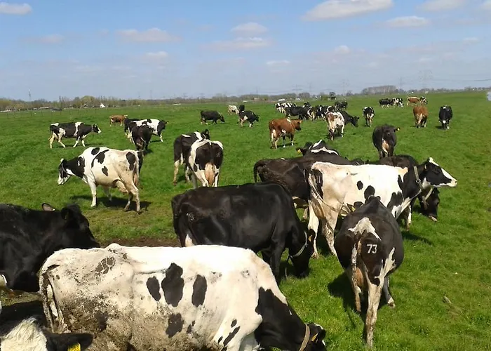 Pensión Het Boenhok Logies 3*