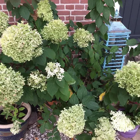 Het Boenhok Logies Lekkerkerk