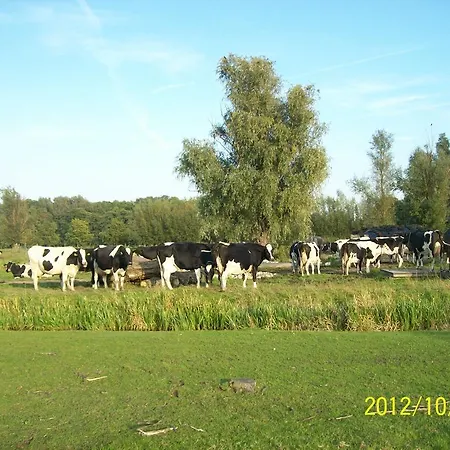 Het Boenhok Logies