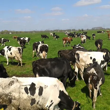 Πανσιόν Het Boenhok Logies 3*