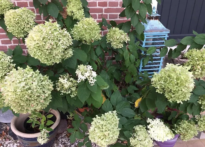 Het Boenhok Logies レッケルケルク